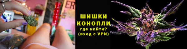 крисы Наволоки