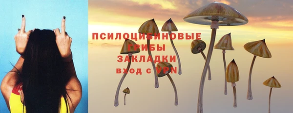 эйфоретик Надым