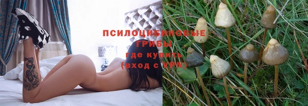 эйфоретик Надым