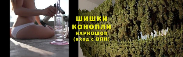 крисы Наволоки