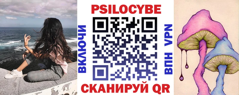 Купить  Кашира  Псилоцибиновые грибы MAGIC MUSHROOMS 